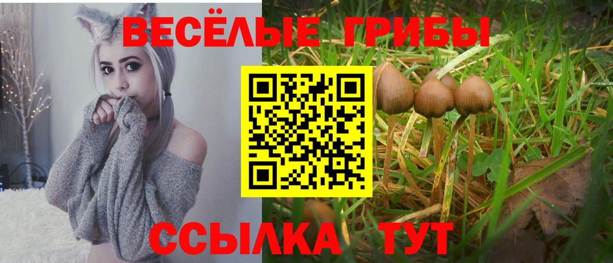 Галлюциногенные грибы Psilocybine cubensis  Вход с VPN  Миллерово 